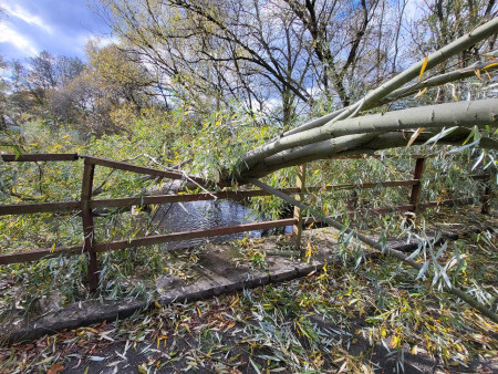 26.10.2025 - Technická pomoc - Žďár nad Orlicí